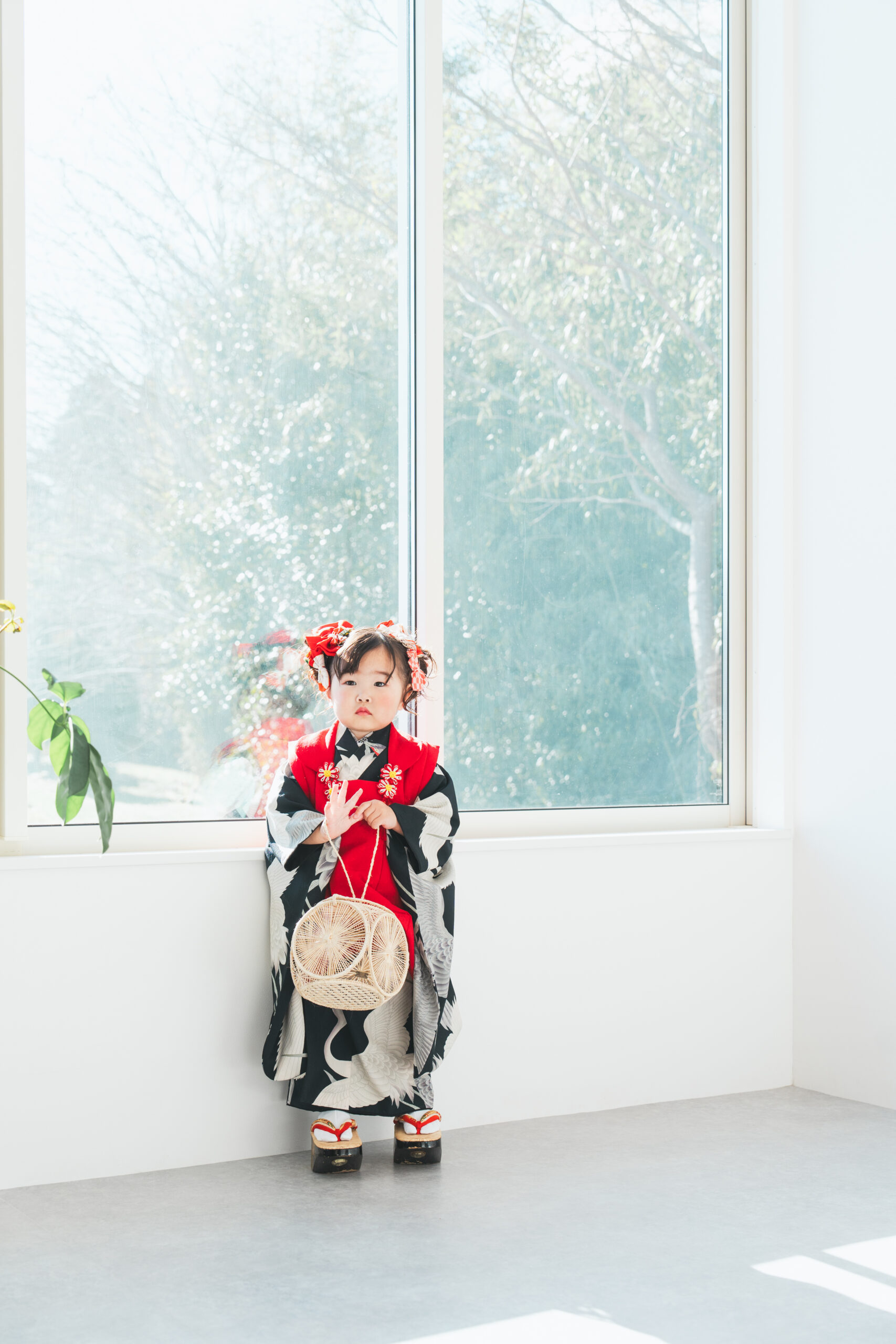 大きな窓からふり注ぐ 自然光で撮影いたします。